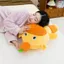 Dễ Thương Capybara Capybara Búp Bê Sang Trọng Đồ Chơi Cảm Xúc Gói Luru Búp Bê Gối Trẻ Em Quà Tặng Sinh Nhật Nữ 4.22