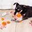 【Ready Stock】 Pet Dog Relieving Stuffy Toy Cloth Fluff Molar Long Lasting Sounding Teddy/French Bulldog Corgi Bichon Frise Sounding Toy WWxa