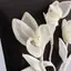 Áo len và quần với phụ kiện miếng dán hoa mộc lan mới, phù hợp để trang trí đầm táo bạo