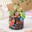 Ếch Sáng Tạo Cây mọng Nước Vườn Tượng Cây Chậu Hoa Nhựa Cho Ban Công Và Trang Trí Nhà