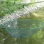 XOITOP Lưới Câu Di Động Có Thể Gập Lại Lưới Câu Lồng Tròn Mở Kéo Lưới Câu Tôm Hùm Cho Câu Cá Du Lịch Cổng Câu Cá VN