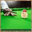 2.25inch 57mm 6 Điểm Đỏ Cue Ball Pro Cup Bi-a Bể Bơi Luyện Tập Ngáy