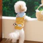 Chó Con Quần Áo 2026 Bichon Schnauzer Teddy Thú Cưng Mèo Mùa Xuân Mùa Hè Áo Mỏng