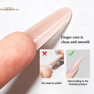 TRTR Sandwich Dual Nail Forms 60 chiếc 15Size Qui Extensions-Dual Forms Hình chữ T Ellipse Làm móng tay Hình dạng khuôn trên Khuôn đáy 3D VN