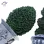 HFTOY 1 / 12 Nhà Búp Bê Mô Phỏng Cây Xanh Chậu Mẫu Nhà Búp Bê Trang Trí Cảnh Quan Sân Vườn Nhà Búp Bê Trang Trí Cây Cảnh Nhà ~
