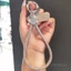 Điện Thoại Di Động Dây Buộc Nữ Nâng Cấp Cổ Tay Xoay Móc Kim Loại Khóa Tròn Kẹp Đệm Mạnh Bền Đẹp Ngắn Ngoài Trời