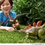 Mattel Jurassic World Action Figure - Roaring Kentrosaurus, Kids' Dinosaur Toy, Movable, Large Size: Approximately 29.6 cm, Suitable for Ages 4 and Up, Green, JCL65