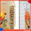 Giỏ treo thức ăn cho vẹt bằng thép không gỉ Giỏ treo rau củ cho chim ăn trái cây Đồ chơi tìm kiếm thức ăn cho chim và vẹt Phụ kiện lồng ngoài trời bền bỉ treo
