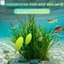Móc hỗ trợ câu cá đôi - Độ bền kéo mạnh cho cá ngừ Sọc Bass Dễ Dàng Giàn khoan