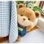Cùng Ngày Giao Hàng Dễ Thương Nhút Nhát Gấu Sang Trọng Búp Bê Gấu Búp Bê Búp Bê Ragdoll Cặp Đôi Gấu Trẻ Em Bé Trai Quà Tặng Cô Gái Gối