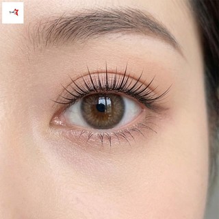 Cụm bông tuyết Lông mi giả C Curl Chiều dài hỗn hợp 9-13mm Sợi tổng hợp màu đen Trang điểm tự nhiên có thể tái sử dụng
