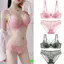 Bộ Áo Ngực Ren Mỏng Gợi Cảm Nguyên Chất Desire Quần Lót Nữ Vú Lớn Nhìn Nhỏ Kích Thước Lớn DE Cup Hỗ Trợ Ngực Áo Ngực
