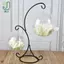 37CM Móc đôi kim loại chân đế để chai thủy tinh