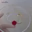 AqToCna Phong Cách Hàn Quốc Hoa Hồng Đỏ Giả Ngọc Trai Vòng Tay Nữ Ánh Sáng Sang Trọng Hoa Bướm Có Thể Điều Chỉnh Vòng Tay Trang Sức Cưới AqToCna