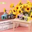 Máy Ảnh Kỹ Thuật Số Mini Model 1: 12 Nhà Búp Bê Camera LED Flash Móc Khóa Trang Trí Đồ Chơi Đẹp