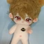 Sách Sự Kiện Chưa Quyết Định Yan 20cm Búp Bê Cotton Dễ Thương Đi Kèm Búp Bê Trò Chơi Quạt Ngoại Vi Quà Tặng 4.22
