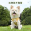 【Ready Stock】 Puppy Dog Hand Holding Rope Dog Vest Small Puppies Teddy Bichon Pomeranian/Bichon Frise Bichon Strap Chain Walking Dog out pncz