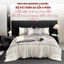 Bộ chăn ga gối 4 món chất liệu phi lụa cao cấp Memminbedding hoạ tiết hoa trà phối tông màu hài hòa, nhẹ nhàng