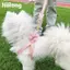 【Ready Stock】 Dog Hand Holding Rope Dog Leash Chest and Back Adjustable Anti Breaking Loose Small and Medium-Sized Dogs Pomeranian/Bichon Frise Corgi for Outing RFuf