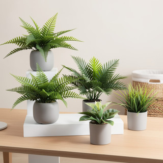 Cây trồng trong chậu nhân tạo Trang trí bàn Cây xanh giả Văn phòng tại nhà Phòng ngủ Ảnh Prop