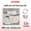 Quần Lót Nữ Cotton Mềm Mịn Co Giãn Tốt Thoáng Khí Mặc Êm May Soft QL19C