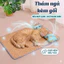 Chiếu Mây Điều Hòa Cho Thú Cưng Đệm Làm Mát Mùa Hè Chó Mèo Kèm Gối Thoáng Khí Mát Mẻ, Êm Ái