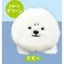Hàng có sẵn Câu lạc bộ đậu phộng Nhật Bản Viên nang Đồ chơi Furry Bichon Doll Palm Búp bê dễ thương M4TD