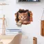TRTR Hoạt Hình Dễ Thương Bị Vỡ Tường Mèo Stier Phòng Ngủ Phòng Khách Hiên Nhà Baground Cảnh Quan Tường Stier VN