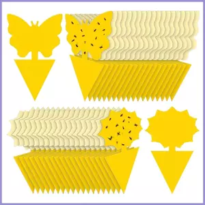 Fruit Fly Catcher 40 Miếng Dính Nhanh Không Mùi Ngoài Trời Thực Vật Gnat Bẫy Kiểm Soát Cho Nhà Bếp Thức Ăn mueadsyvn