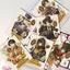 ✨Sản phẩm mới✨Klein Photocard] Anime hai chiều bán chạy Master of Mystery Merchandise Photopair Bộ sưu tập kỷ niệm thẻ LOMO tinh tế✨Sự kiện✨