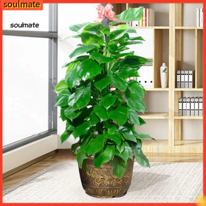 Linh hồn| Chậu hoa thân thiện với người mới bắt đầu Chậu hoa bằng nhựa dày có lỗ thoát nước – Chậu trồng cây thiết kế hoa sen cổ điển cho cây ngoài trời trong nhà cho gia đình