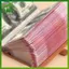 SWEET A6 Người lập kế hoạch ngân sách chất kết dính với 12 nhà thơ phong bì tiền mặt bền bỉ cho văn phòng tại nhà Quản lý và lưu trữ tiền gia đình n