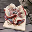 Chấm Bi Đỏ Scrunchy Buộc Tóc Hàn Quốc Lười Cao Cấp Đầu Bóng Tính Khí Tóc Đầu Dây Phụ Kiện Tóc