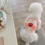 Quần Áo Cho Chó Mùa Xuân Mùa Hè Áo Vest Dễ Thương Người Yêu Sling Trắng Gạc Váy Công Chúa Phong Cách Thú Cưng Mèo Bichon Teddy