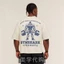 XS-3XL Áo sơ mi thể thao chất lượng cao, 100% cotton, phù hợp gym và cử tạ, in logo, cổ tròn unisex