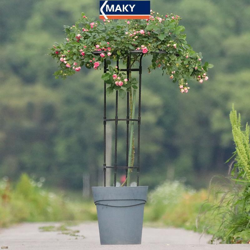 MAKY Garden Dù Tháp Trellis Hỗ Trợ Leo Cho Cây, Chậu Hoa VN