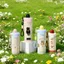 Cốc Cách Nhiệt Hoạt Hình BFF, Thiết Kế Dễ Thương, Dung Tích 600ml, Thép Không Gỉ SUS316, Chống Rò Rỉ