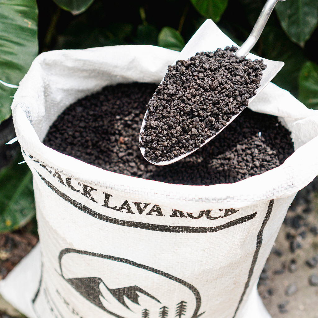 1kg Đá nham thạch đen Lava 3-5mm Giữ Dinh Dưỡng Thoát Nước Tốt - Dùng Trồng Sen Đá, Bonsai, Lọc Hồ Cá