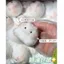 Cao Su Mềm Hamster Phục Hồi Giải Nén Cảm Thấy Siêu Mềm Đồ Chơi Dễ Thương Tự Chế Kích Thước Lớn TPR Giải Nén Dụng Cụ Tiện Dụng 5.8