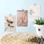 10-40 Kẹp Acrylic Trong Suốt - Văn Phòng Phẩm Sinh Viên - Để Viết Nhật Ký, Giấy Thi - Kẹp Lò Xo Nhựa Mini - Có Thể Tái Sử Dụng, Tự Dính / Miễn Phí Giao Hàng