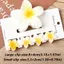 NKSFX 5 Cái / bộ Vuốt Tóc, Kẹp Tóc Hoa Hawaii Gradient Acrylic, Hoa Ngọt Ngào Plumeria Kẹp Hoa Đuôi Ngựa Kẹp Phụ Kiện Tóc Đi Biển