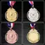 PNPIA- Marathon Huy chương Vàng Huy chương Bạc Cúp Huy chương Người chiến thắng Phần thưởng Khuyến khích Huy hiệu Huy hiệu Giải thưởng Thi đấu ngoài trời
