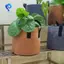 Chậu vải hạng nặng, Túi trồng rau / hoa / cây, Chậu vải không dệt dày có tay cầm (5 gallon)