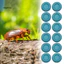 12 Bát ăn xúc xích Dubia đầy màu sắc có khả năng tiếp cận dốc – Đĩa ăn tròn nhỏ cho Isopod Springtails Động vật không xương sống lùn Terrarium cho động vật không xương sống