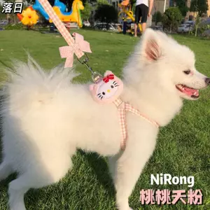 【Ready Stock】 Dog Hand Holding Rope Teddy Bichon Pomeranian Anti Breaking Loose Dog Chain Dog Rope Go out Cute Dog Leash jhkl