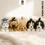 Rytanda Mô Phỏng Dễ Thương Husky Golden Retriever Shepherd Bugburn Dog Gối Sang Trọng Động Vật Mềm Búp Bê Sofa Đệm Quà Tặng Cho Trẻ Em Bạn Gái Trang Trí Ngày Lễ Tình Nhân Quà Tặng Sinh Nhật
