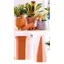 CATMALLER88 Cọc tự tưới cây, Thiết bị tưới cây tự động tự động lục giác, Hệ thống tưới nhỏ giọt đất nung thực tế cho cây trồng trong nhà & ngoài trời