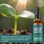 Chất lỏng nuôi rễ nhân giống gốc 100ml Chất kích thích rễ cho cây trồng để trồng thủy canh ngoài trời trong nhà jiwvn