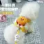【Ready Stock】 Hamburger Dog Hand Holding Rope Dog Leash Anti-off Vest Traction Belt Dog Kittens Small Dog Teddy Bichon Pomeranian 8vdZ