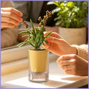 Chậu Tự Tưới Cây Bàn Hai Lớp Hộp Đựng Hoa Để Bàn Chậu Hoa Cho Người Làm Vườn Người Trồng Văn Phòng Tại Nhà mueadsyvn